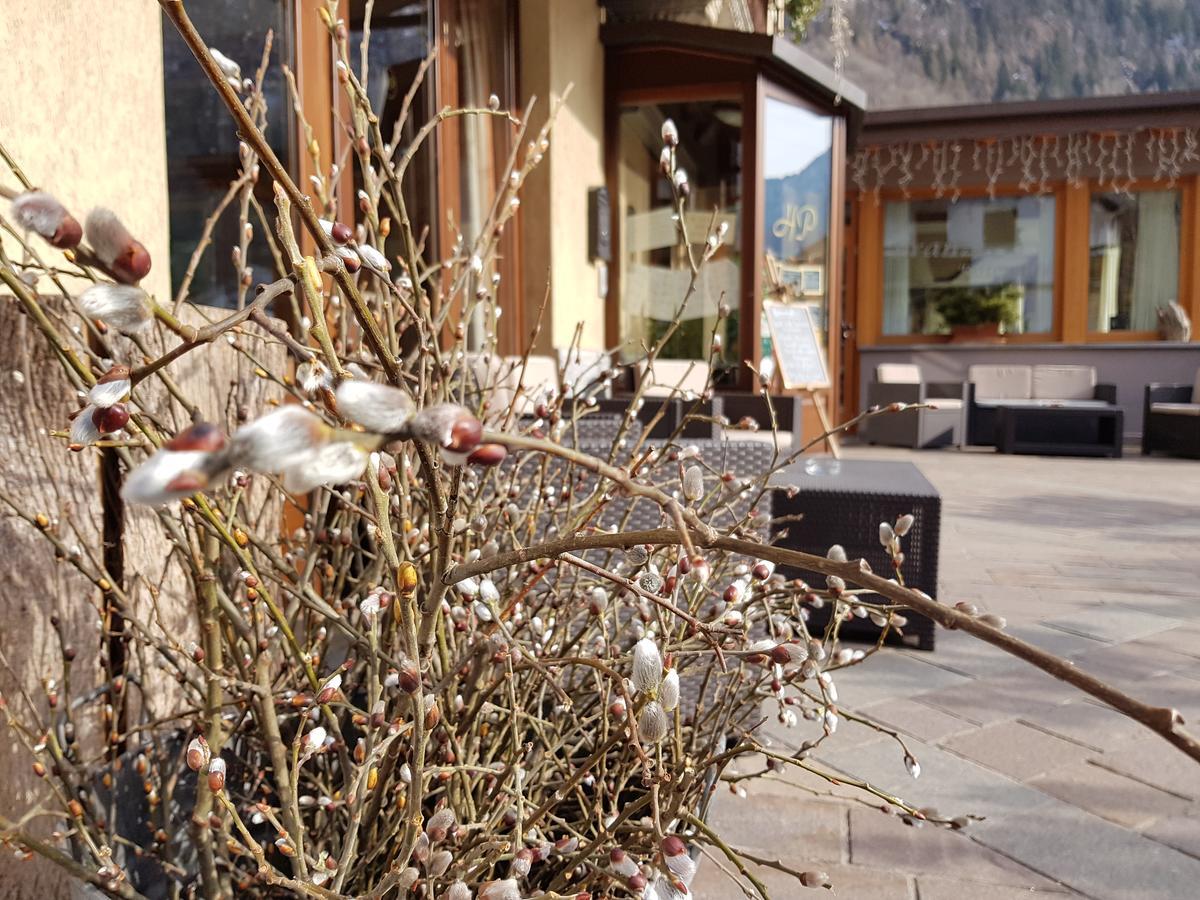 Hotel Pedretti Branzi Exteriér fotografie